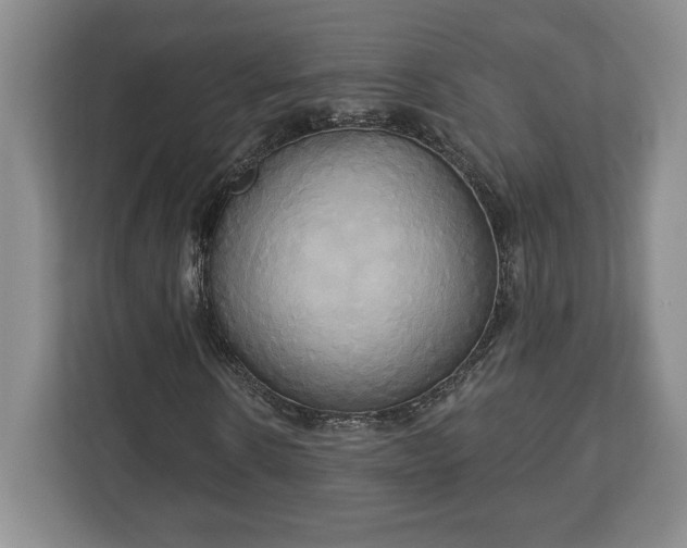 X0000113060914200909041035