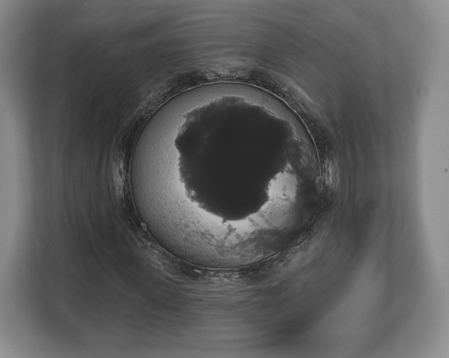 X0000113060915200909041035