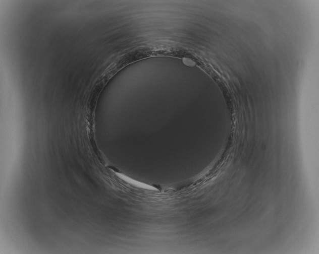 X0000113060916200909041035