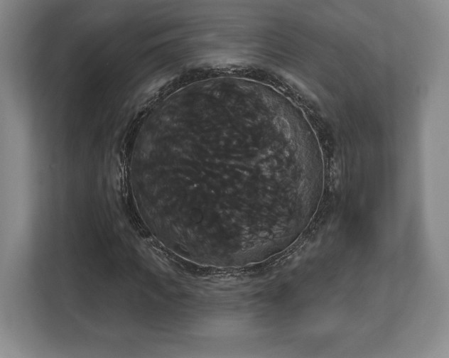 X0000113060917200909041035