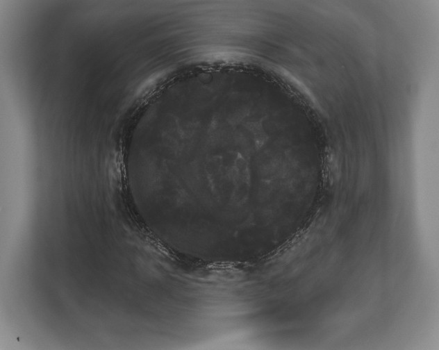 X0000113060918200909041035