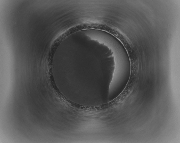 X0000113060919200909041035