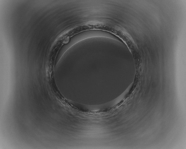 X0000113060920200909041035