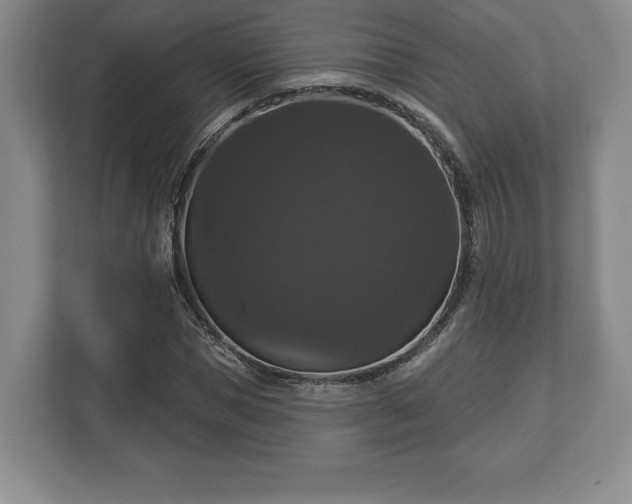 X0000113060921200909041035