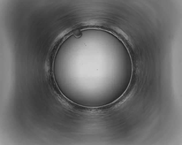 X0000113060922200909041035