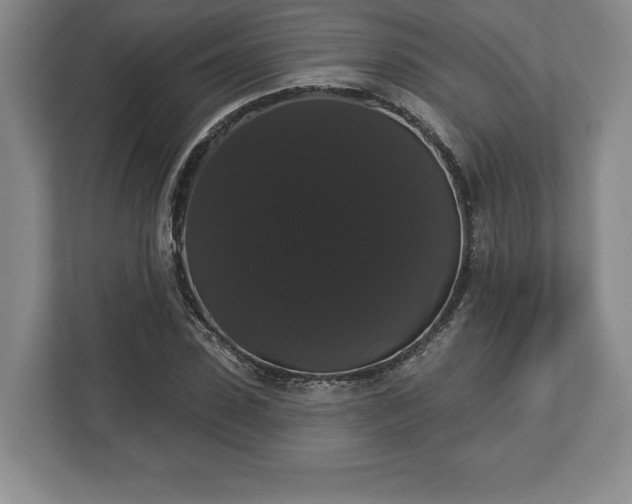X0000113060923200909041035