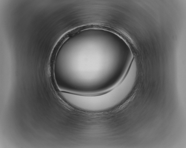 X0000113060924200909041035