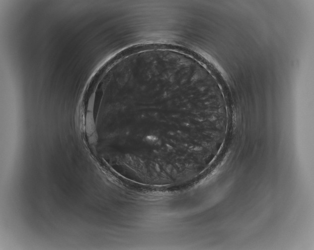 X0000113060925200909041035
