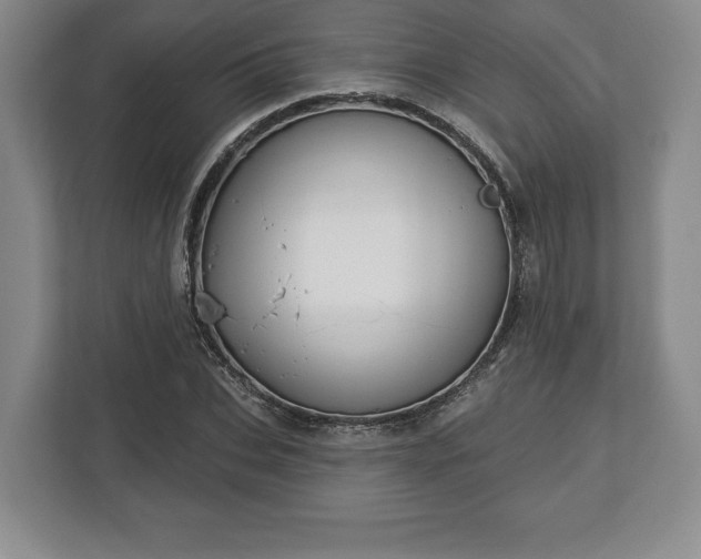 X0000113060927200909041035
