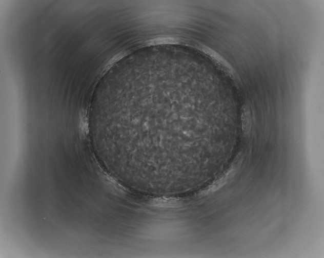 X0000113060929200909041035