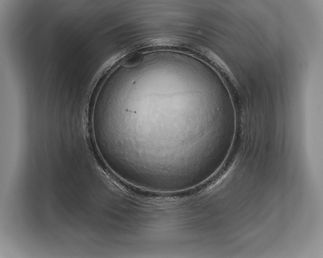X0000113060930200909041035