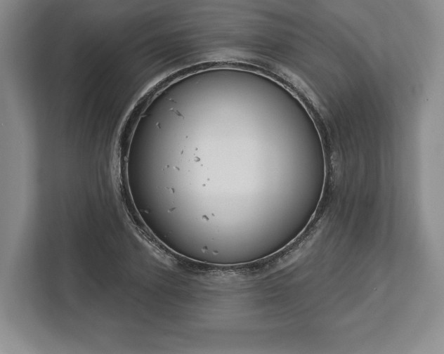 X0000113060931200909041035