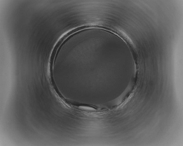 X0000113060932200909041035