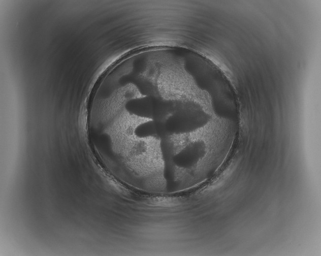 X0000113060933200909041035
