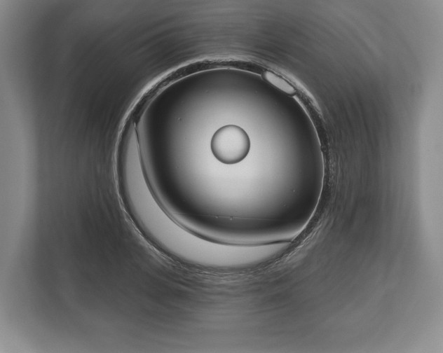 X0000113060935200909041035