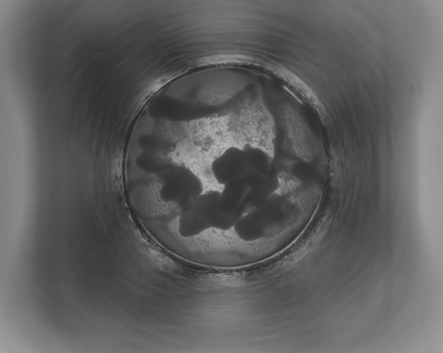 X0000113060937200909041035
