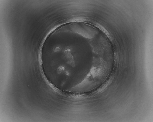 X0000113060939200909041035