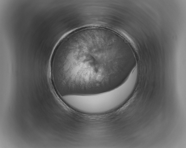 X0000113060940200909041035