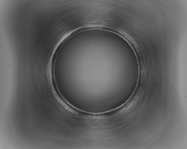 X0000113060941200909041035