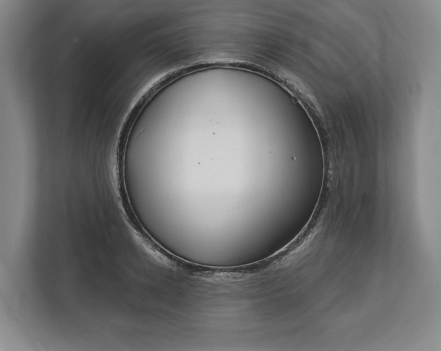 X0000113060942200909041035