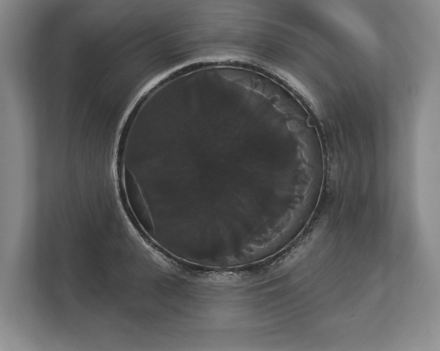 X0000113060943200909041035