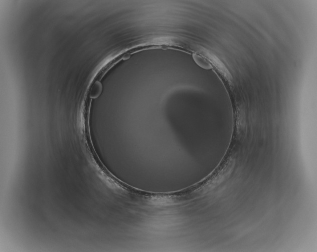 X0000113060944200909041035