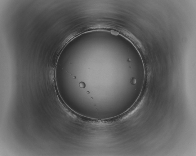 X0000113060945200909041035
