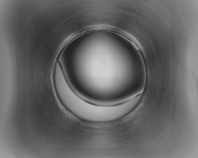 X0000113060946200909041035