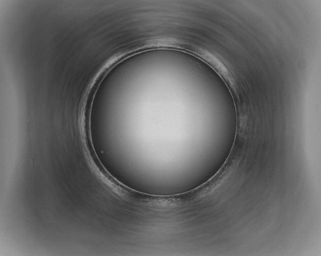 X0000113060947200909041035