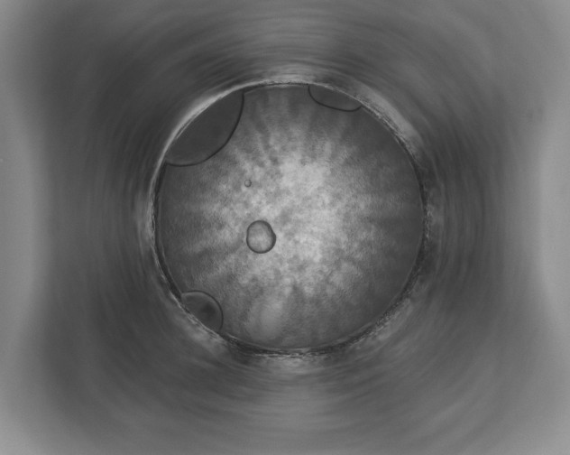 X0000113060948200909041035