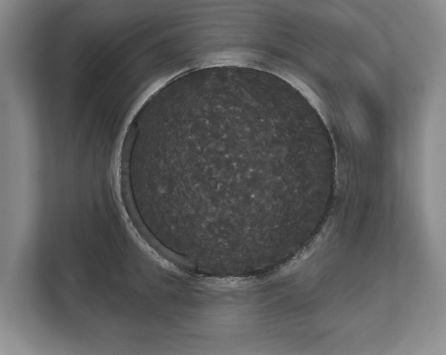 X0000113060949200909041035