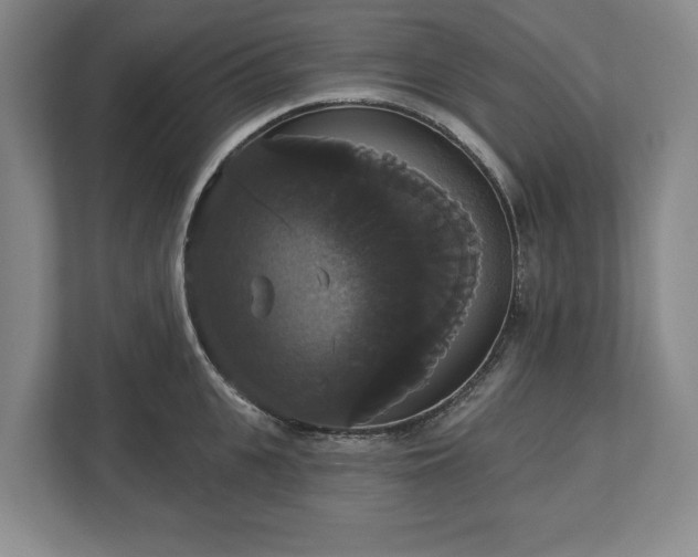 X0000113060951200909041035