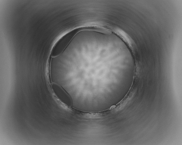 X0000113060952200909041035
