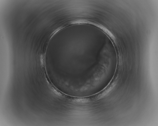 X0000113060953200909041035