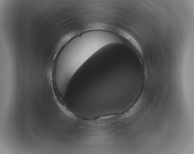 X0000113060954200909041035