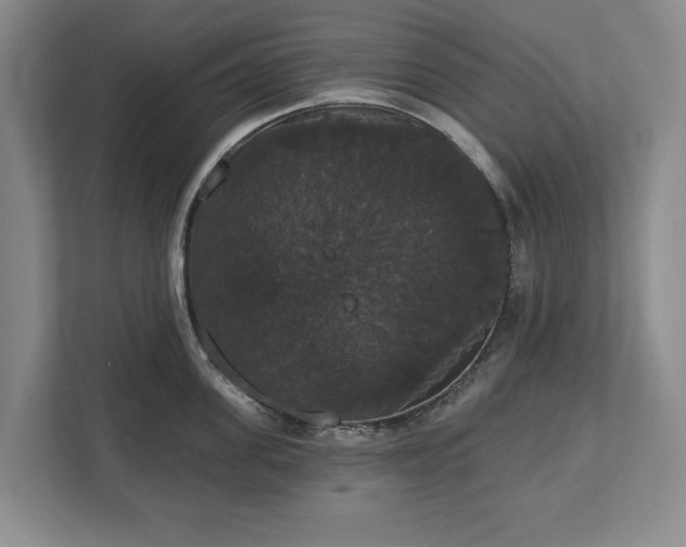 X0000113060955200909041035