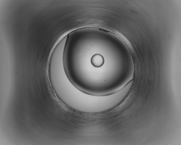 X0000113060956200909041035