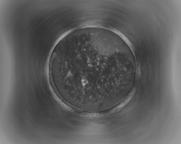 X0000113060957200909041035