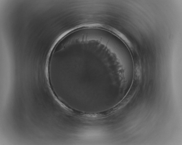 X0000113060959200909041035
