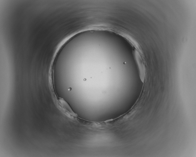 X0000113060960200909041035