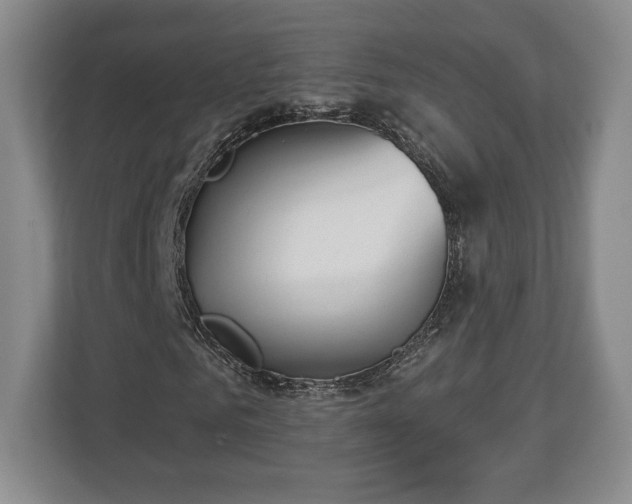 X0000113060961200909041035