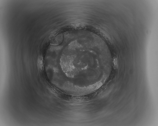 X0000113060963200909041034