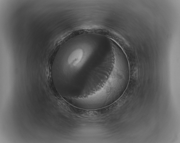 X0000113060966200909041034