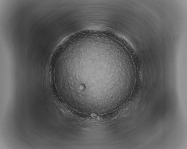 X0000113060968200909041034