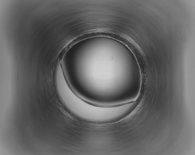 X0000113060969200909041034
