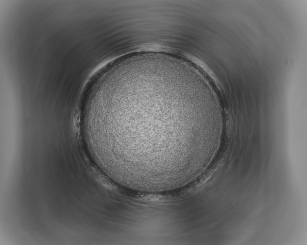 X0000113060971200909041034