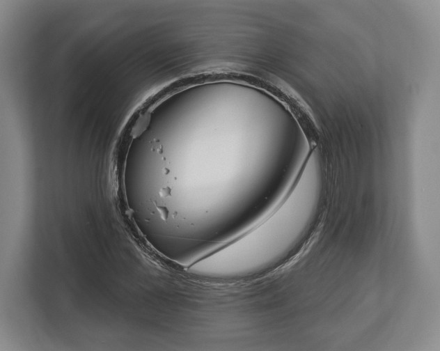 X0000113060973200909041034