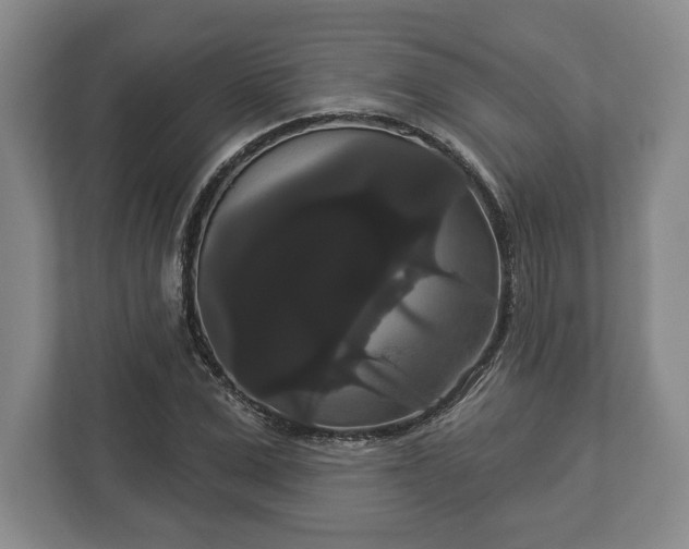 X0000113060975200909041034