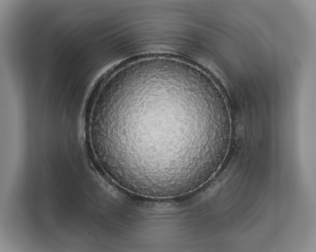 X0000113060979200909041034