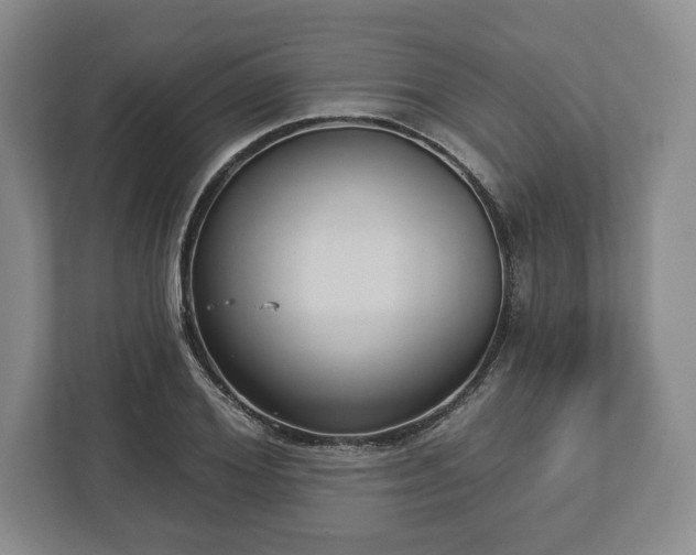 X0000113060980200909041034